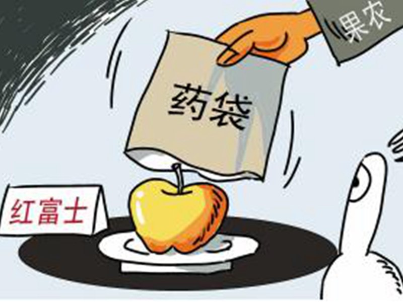 煙臺(tái)市被曝紅富士蘋果都是“穿”著藥袋子長(zhǎng)大的