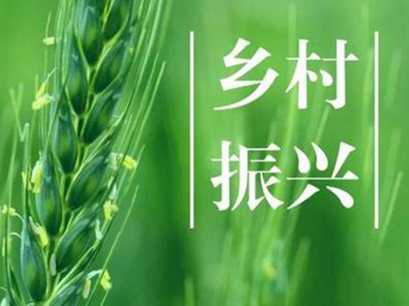 做好深入安鄉(xiāng)縣實(shí)地考察調(diào)研“三農(nóng)”工作